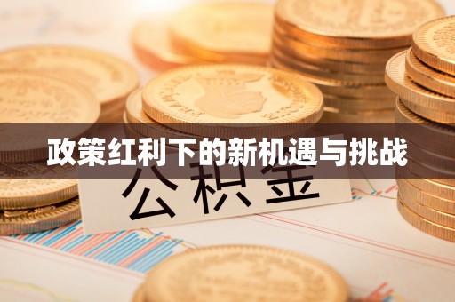 威县政策红利下的新机遇与挑战