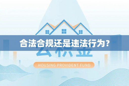 威县合法合规还是违法行为？