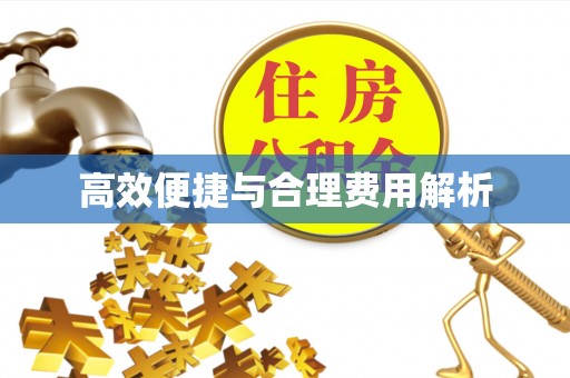 威县高效便捷与合理费用解析