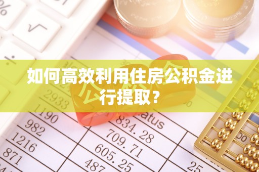 威县如何高效利用住房公积金进行提取？
