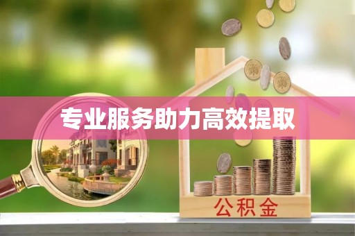 威县专业服务助力高效提取