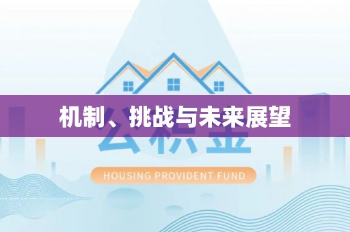 威县机制、挑战与未来展望