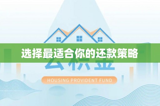 威县选择最适合你的还款策略