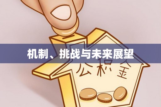 威县机制、挑战与未来展望