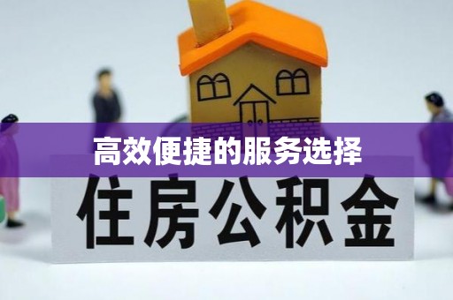 威县高效便捷的服务选择