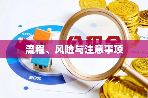 威县流程、风险与注意事项